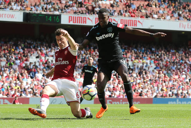 曼市战森林 曼市战森林